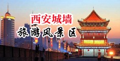 大鸡巴操逼好舒服视频中国陕西-西安城墙旅游风景区